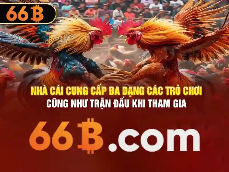 ưu đãi cờ caro 66b