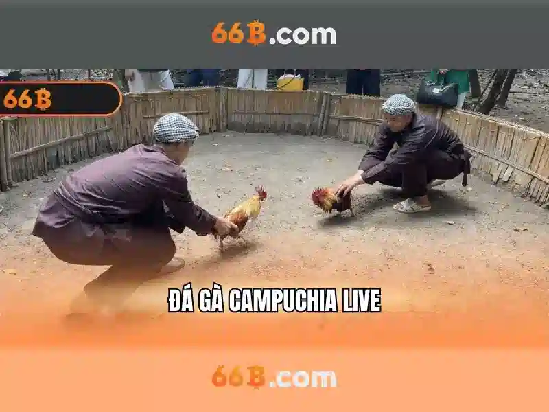 Tại Sao Chọn 66B