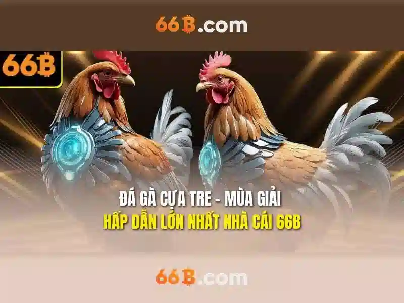 cách sử dụng code 66b trong game SLOT