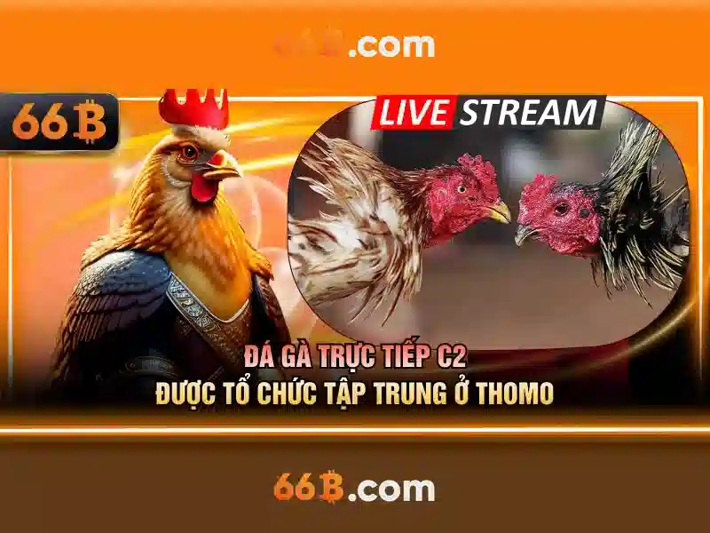Hướng dẫn đăng xuất 66b