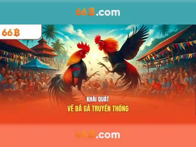 Chính Sách Bảo Mật 66B