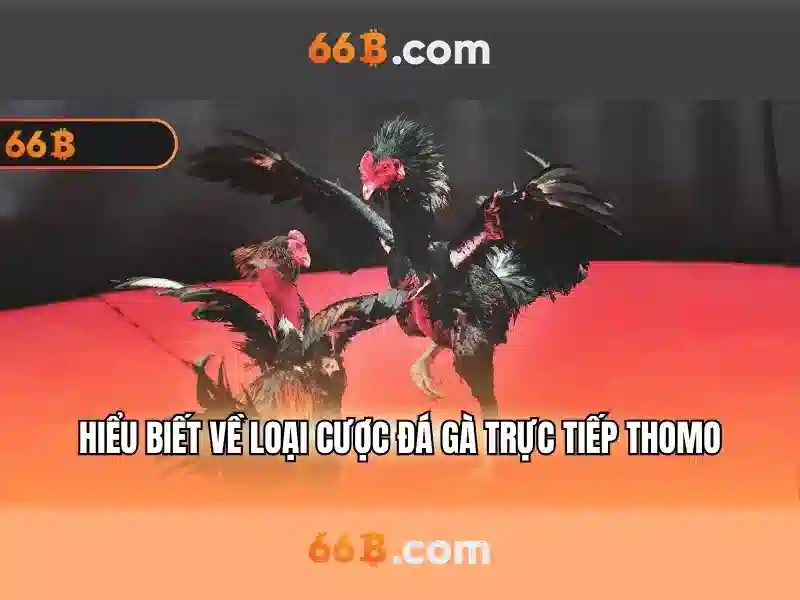 đánh giá 66b