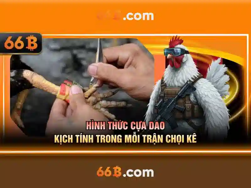 Hỗ trợ quên mật khẩu 66B