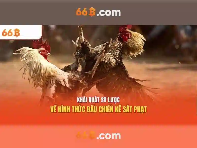 Xóc Đĩa 66B – Trải Nghiệm Sân Chơi Slot Đỉnh Cao 2026