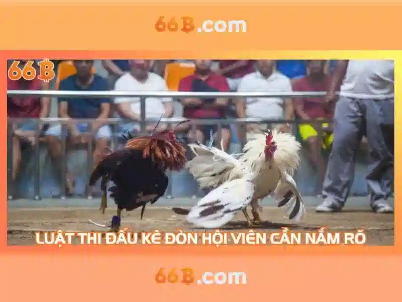 Trải Nghiệm Game Slot 66B