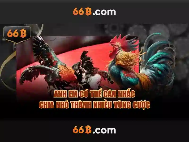 66B Slot 2026