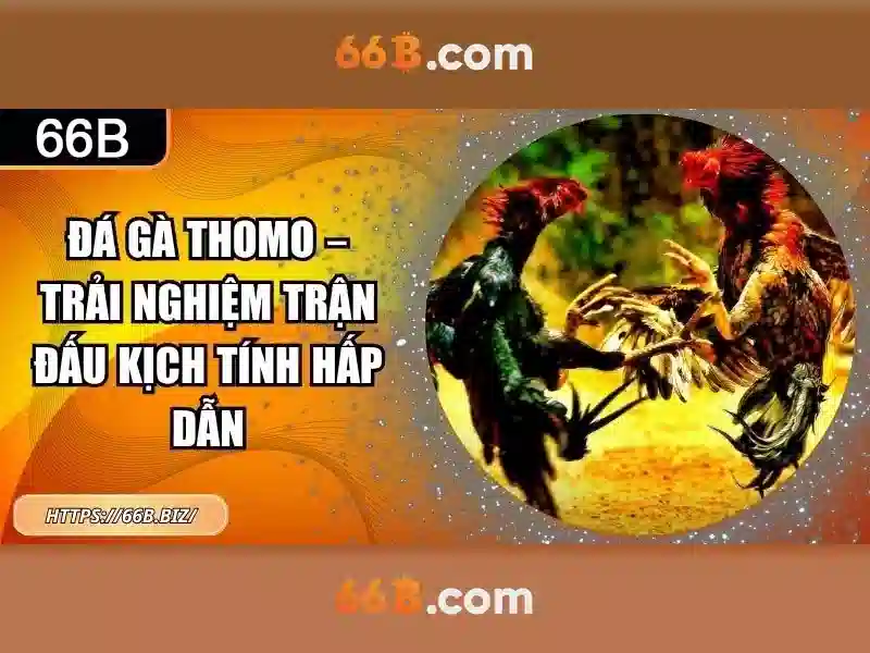 đăng ký 66B