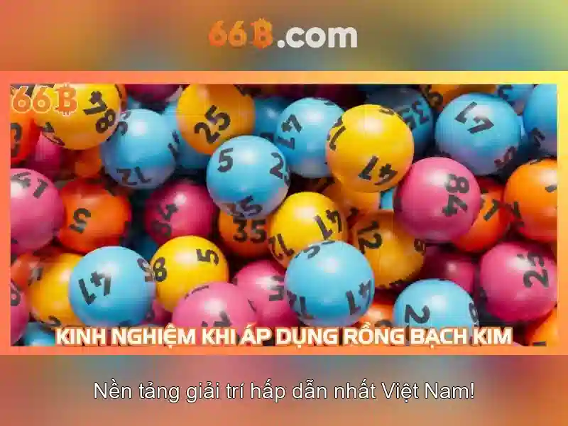 Đăng Ký 66B – Hướng Dẫn Chi Tiết Cho Người Mới