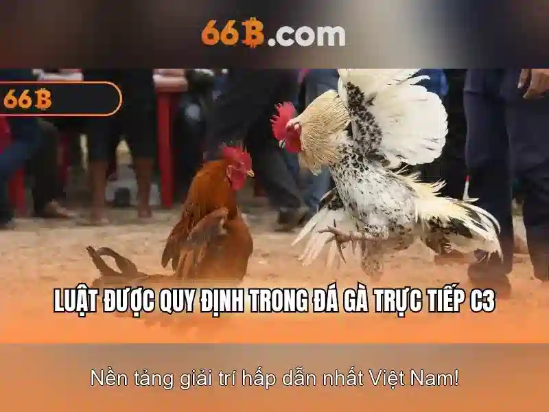 Phỏm 66B – Tỷ Lệ Thưởng Cao, Trải Nghiệm Đa Dạng
