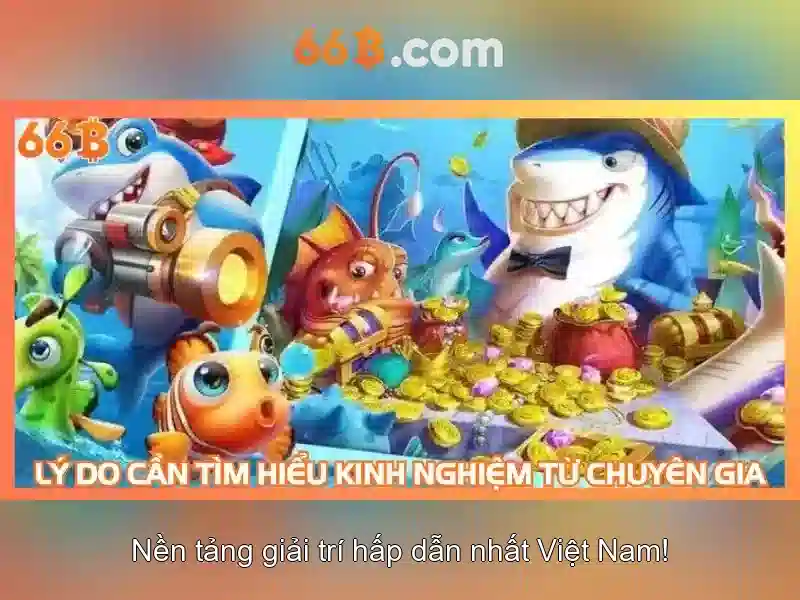 Tài Khoản 66B