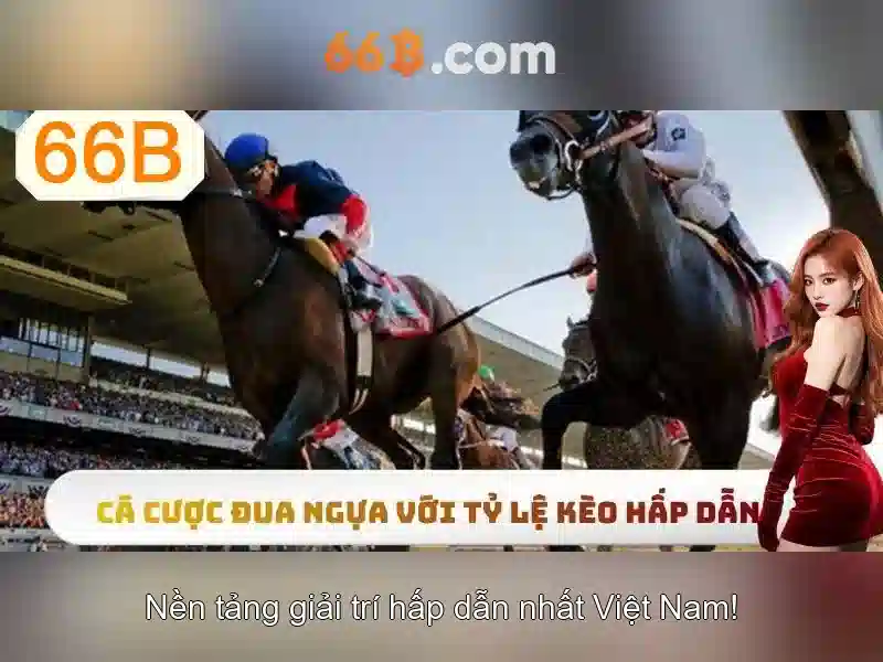Quy Trình Đăng Ký Xổ Số 66B