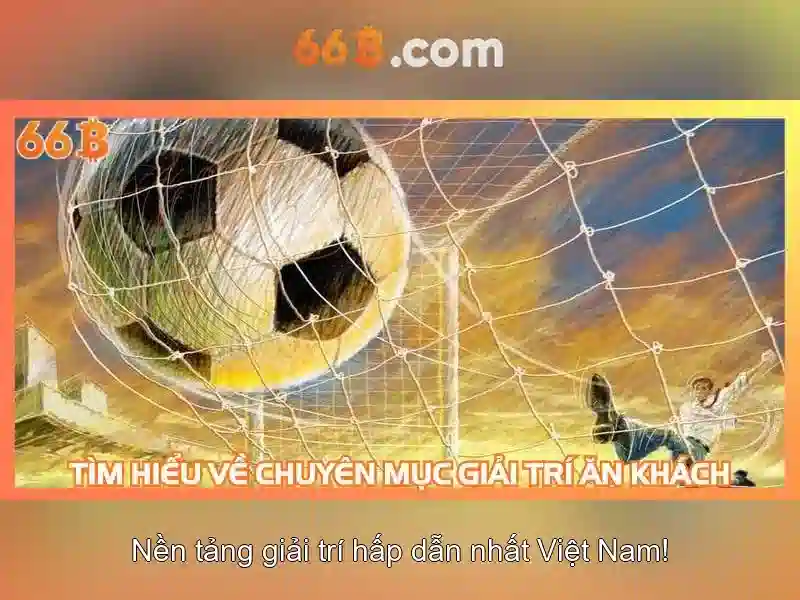 Hỗ trợ 66B đa dạng