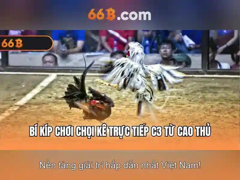 Tại Sao Nên Chọn 66B