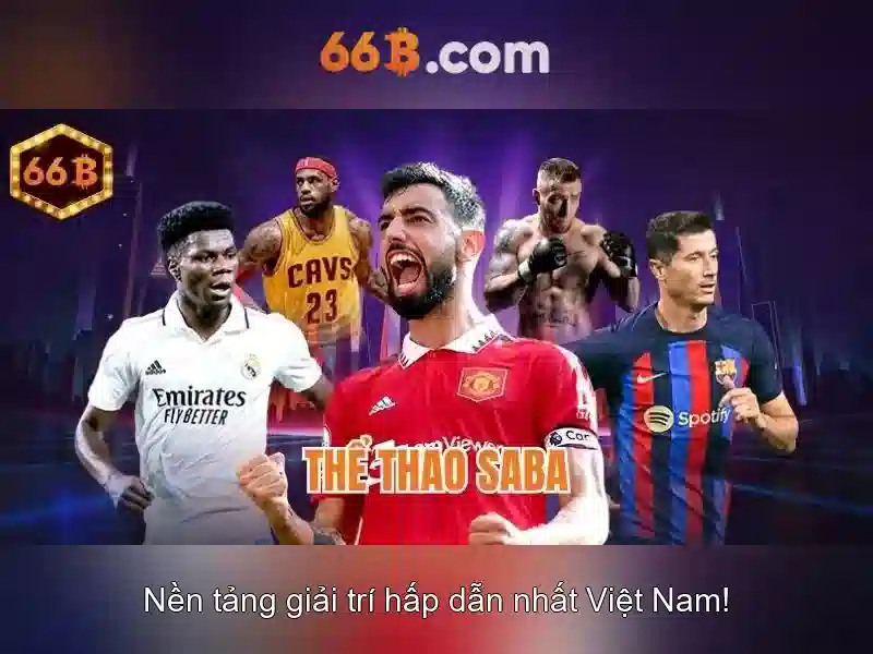 cờ vua 66b