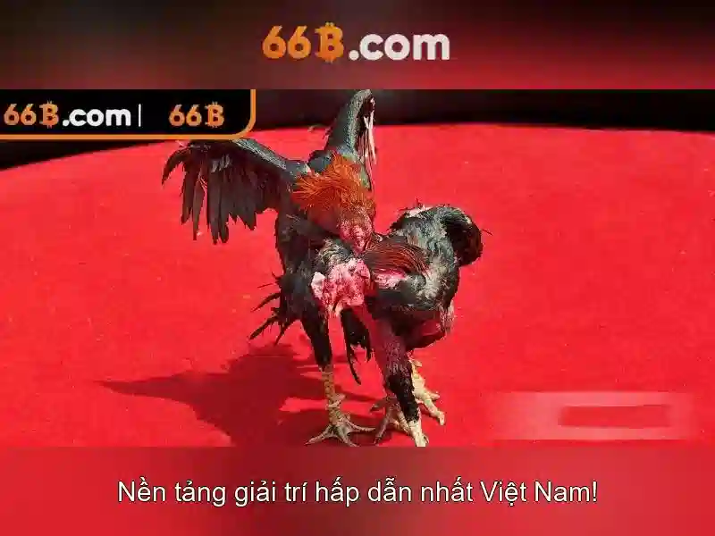 quên mật khẩu 66b