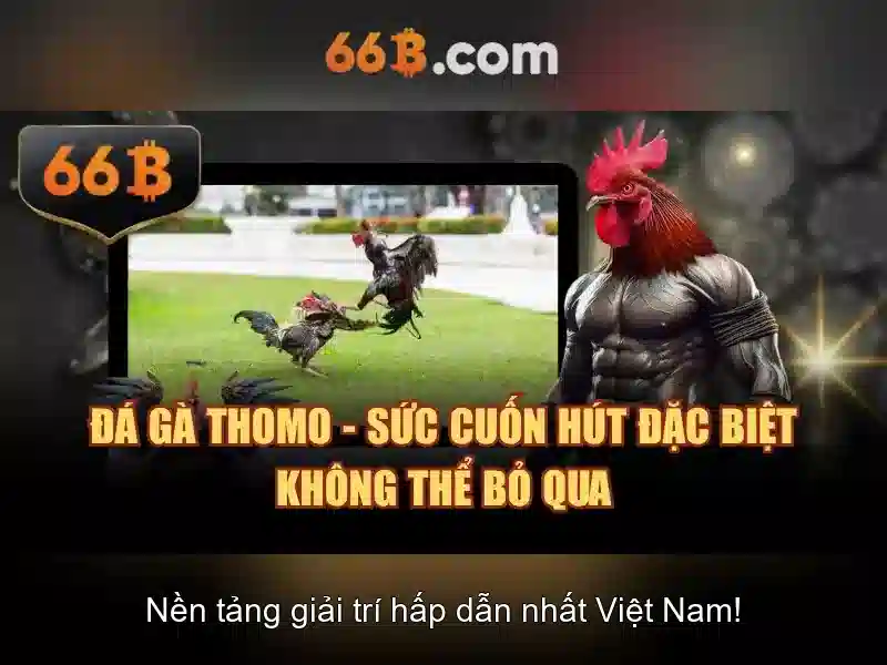 Điều khoản dịch vụ 66B khi người chơi thực hiện nạp rút tiền tại nhà cái