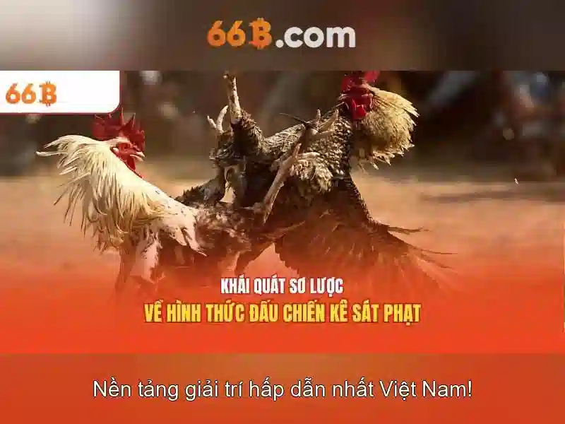 Trải Nghiệm Slot Đỉnh Cao
