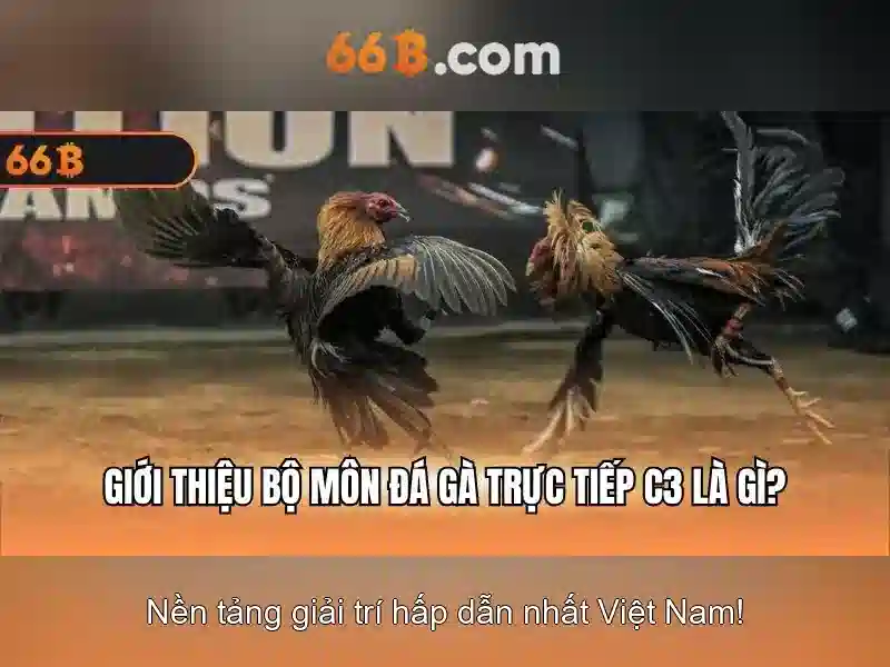 Ưu Điểm Nổi Bật Của 66B APK