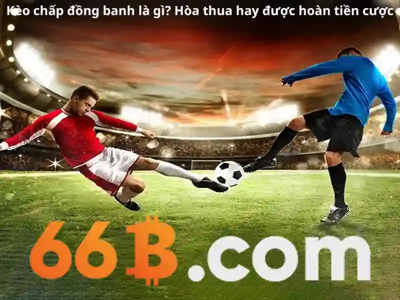 code 66b – Tối Ưu Hóa Trải Nghiệm Slot