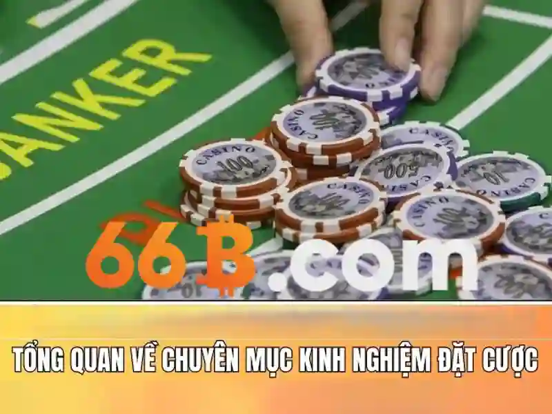 Ưu Đãi 66B