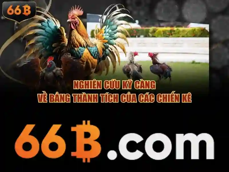 Ưu Đãi 66B