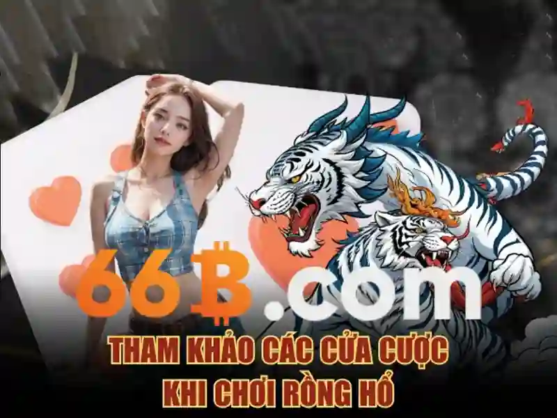 Lý Do Chọn Giao Dịch 66B