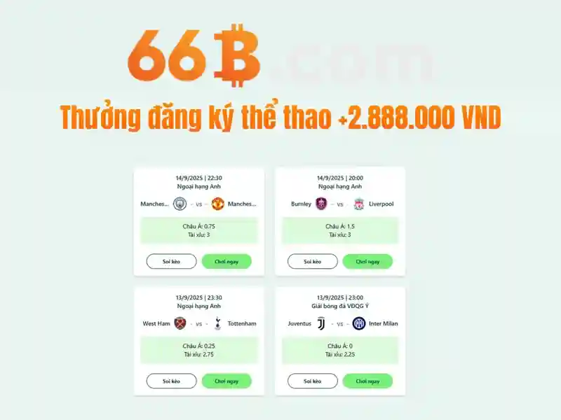 Chính Sách Bảo Mật 66B